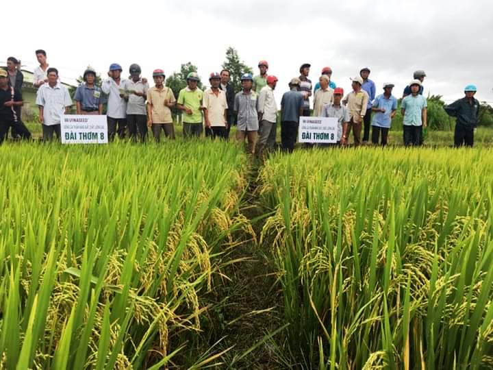 Huyện Krông Bông đẩy mạnh phát triển thủy lợi gắn với chuyển đổi cơ cấu cây trồng, vật nuôi